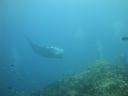 DSC00934.JPG