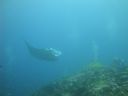 DSC00935.JPG