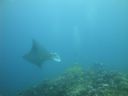 DSC00937.JPG