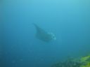 DSC00938.JPG