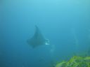 DSC00942.JPG
