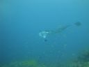 DSC00945.JPG