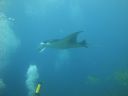 DSC00950.JPG