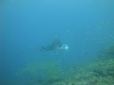 DSC00954.JPG