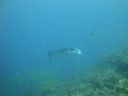 DSC00957.JPG