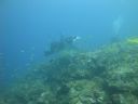 DSC00959.JPG