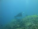 DSC00961.JPG