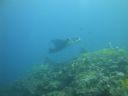 DSC00963.JPG