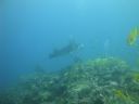 DSC00965.JPG