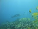 DSC00966.JPG