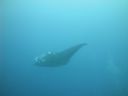 DSC00971.JPG