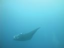 DSC00972.JPG
