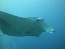 DSC00976.JPG