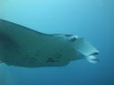 DSC00977.JPG