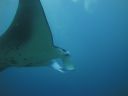 DSC00982.JPG