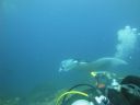 DSC00985.JPG