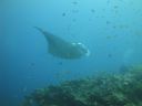DSC00994.JPG
