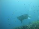 DSC00998.JPG