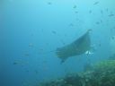 DSC00999.JPG