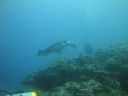 DSC01003.JPG