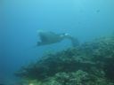 DSC01005.JPG