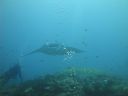 DSC01010.JPG