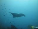 DSC01018.JPG
