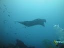DSC01021.JPG