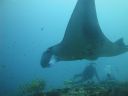 DSC01025.JPG