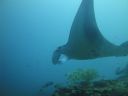 DSC01030.JPG
