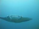 DSC01037.JPG