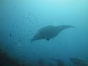 DSC01040.JPG