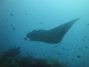 DSC01042.JPG