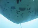 DSC01045.JPG