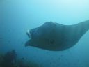DSC01049.JPG