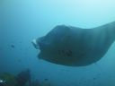 DSC01050.JPG