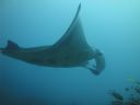 DSC01052.JPG
