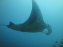 DSC01053.JPG