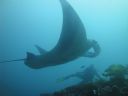 DSC01054.JPG