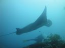 DSC01056.JPG