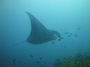 DSC01063.JPG
