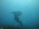 DSC01073.JPG