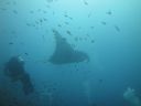 DSC01074.JPG