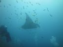 DSC01075.JPG
