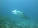 DSC01080.JPG
