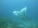DSC01081.JPG