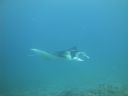 DSC01093.JPG