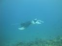 DSC01096.JPG