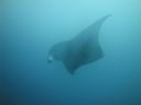DSC01098.JPG