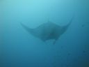 DSC01100.JPG